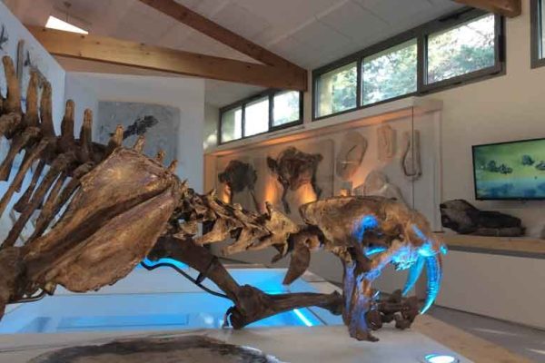 Museum-Ardeche-Balazuc-795x515